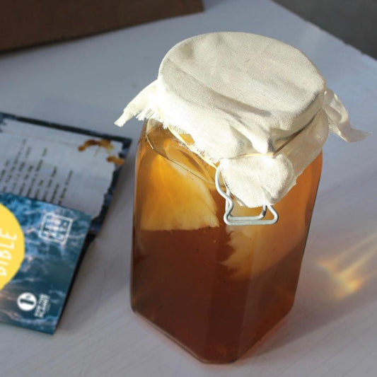 How do you make Kombucha?