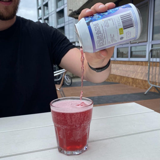 Ancient History of Kombucha